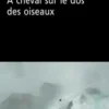 A cheval sur le dos des oiseaux, Céline Delbecq