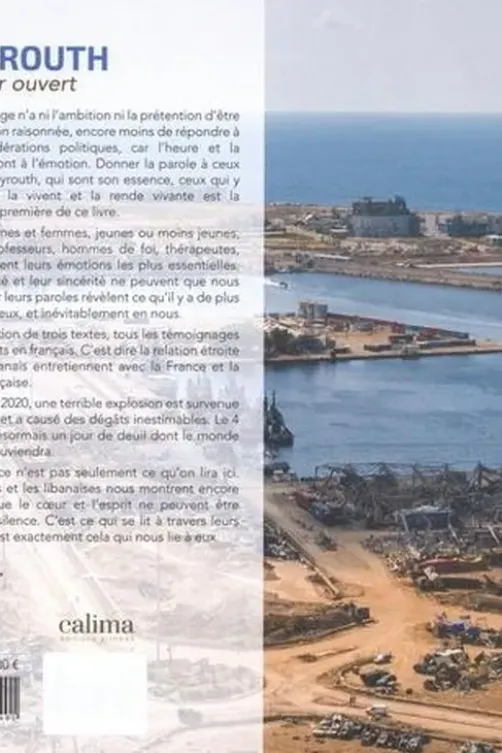 Beyrouth à coeur ouvert, Collectif D'Auteurs