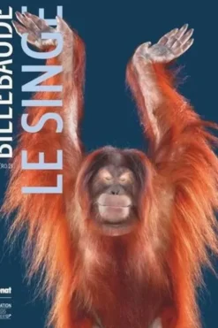 Billebaude N° 23, automne-hiver 2023 : Le singe, Antoine Kauffer
