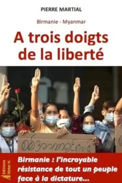 Birmanie Myanmar, à trois doigts de la liberté, Pierre Martial