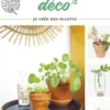 Boutures déco, Agnès Fodimbi