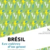 Brésil. Les colères d'un géant, Patrice Montagu-Williams