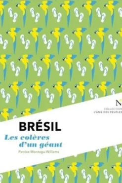 Brésil. Les colères d'un géant, Patrice Montagu-Williams