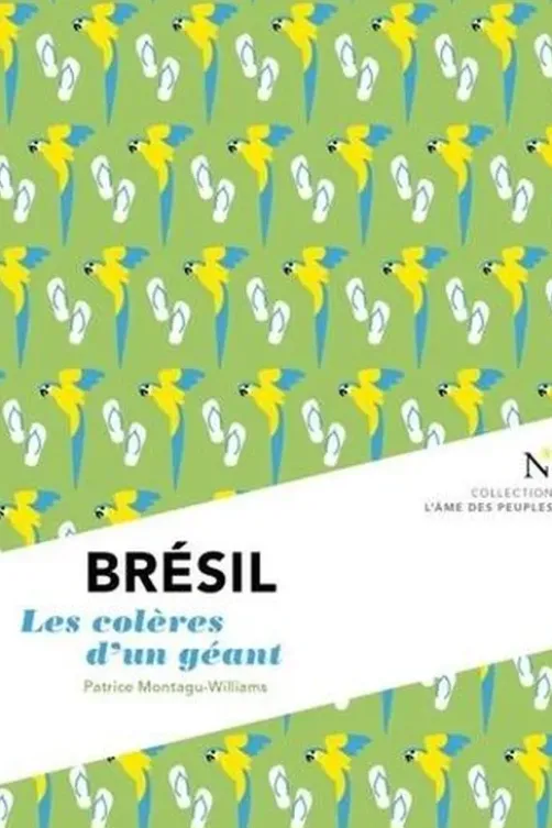 Brésil. Les colères d'un géant, Patrice Montagu-Williams