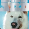Bâtard N° 7, décembre 2024, Dog Social Club Media Editions