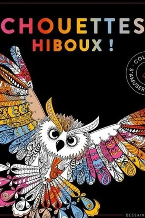 Chouettes hiboux !, Dessain et Tolra