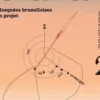 Clara N° 2 : Mosquées bruxelloises en projet, Massimo Penta
