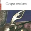 Coupes sombres, Guy Zilberstein
