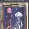 Display Art. Visual Merchandising and Window Display, Edition en anglais, Design 360º Magazine