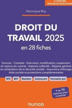 Droit du travail en 28 fiches. Edition 2025, Véronique Roy