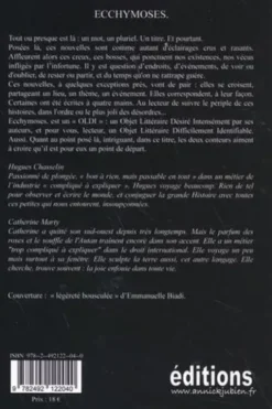 Ecchymoses, Hugues Chasselin