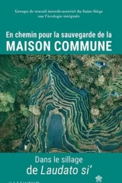 En chemin pour la sauvegarde de la Maison commune. Dans le sillage de Laudato si', Groupe de travail Saint-Siège