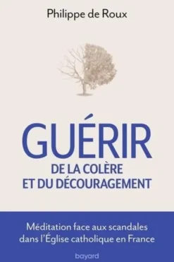 Guérir de la colère et du découragement. Méditation face aux scandales de l'Eglise Catholique, Bayard