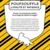 Harry Potter Poufsouffle, Wizarding World