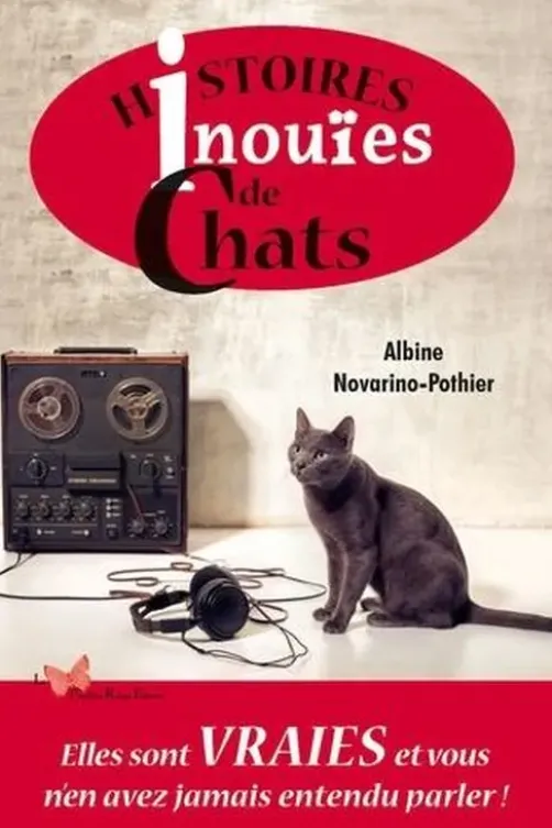 Histoires inouïes de chats, Albine Novarino-Pothier