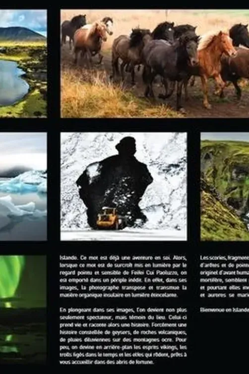 Islande, Feifei Cui Paoluzzo