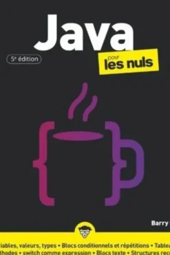 Java pour les nuls. 5e édition, Barry Burd