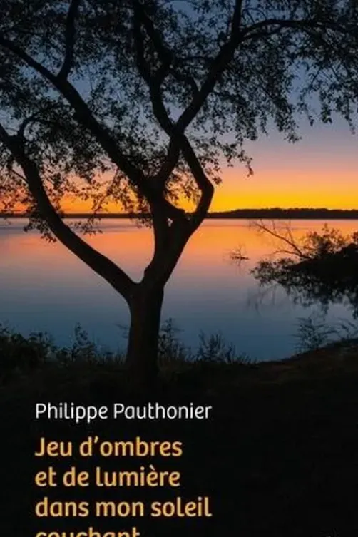 Jeu d'ombres et de lumière dans mon soleil couchant, Philippe Pauthonier