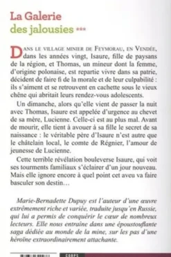 La galerie des jalousies Tome 3[EDITION EN GROS CARACTERES, Marie-Bernadette Dupuy