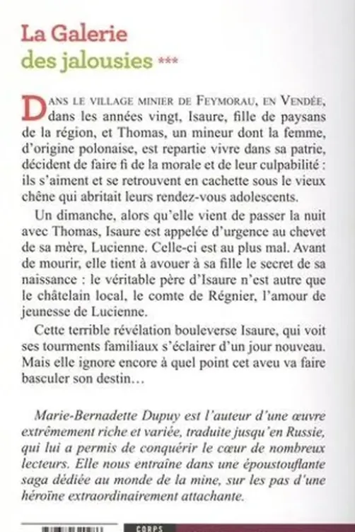 La galerie des jalousies Tome 3[EDITION EN GROS CARACTERES, Marie-Bernadette Dupuy
