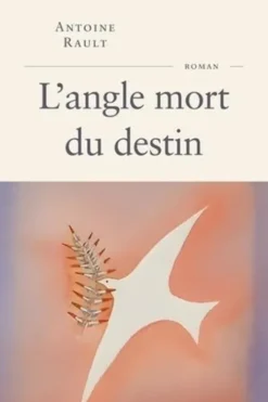 L'angle mort du destin, Antoine Rault