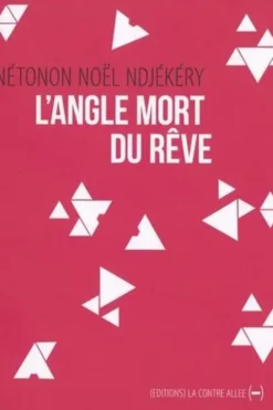 L'Angle mort du rêve, Nétonon Noël Ndjekery