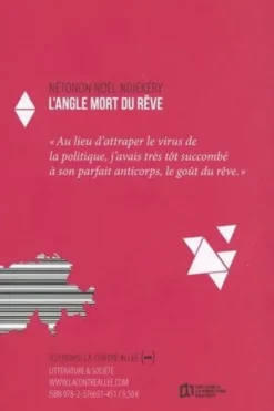 L'Angle mort du rêve, Nétonon Noël Ndjekery