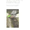 L'architecture, une fragilité essentielle. Réflexions sur le travail de l'agence Emmanuelle Colboc et associés, Françoise Arnold