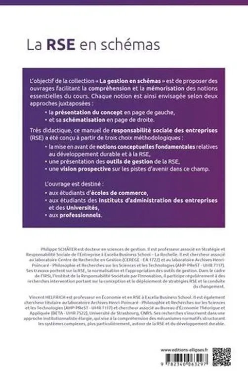 La RSE en schémas, Philippe Schäfer