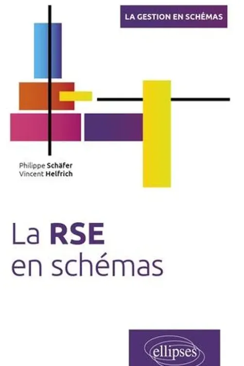 La RSE en schémas, Philippe Schäfer