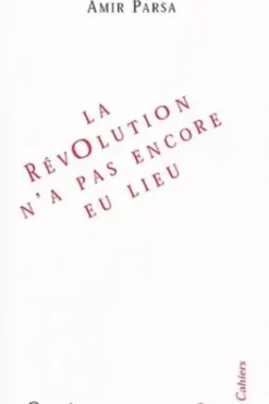 La révolution n'a pas encore eu lieu, Amir Parsa