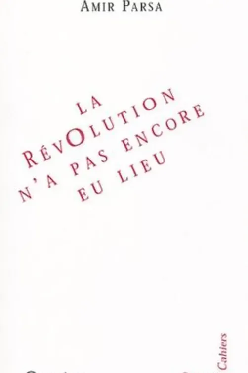 La révolution n'a pas encore eu lieu, Amir Parsa