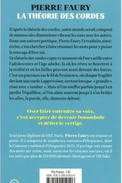 La théorie des cordes. Poèmes funambules, Pierre Faury