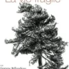 La vie fragile, Louise Pommeret