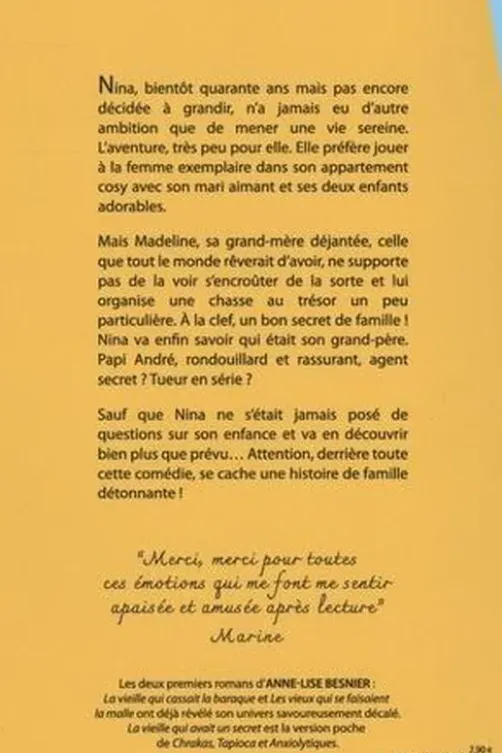 La vieille qui avait un secret, Anne-Lise Besnier