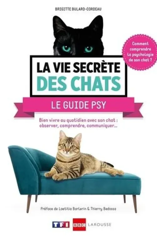 La vie secrète des chats : le guide psy. Bien vivre au quotidien avec son chat : langage corporel, territoire, bien-être..., Brigitte Bulard Cordeau