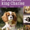 Le cavalier king Charles, Danielle Marchand
