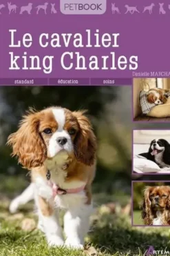 Le cavalier king Charles, Danielle Marchand