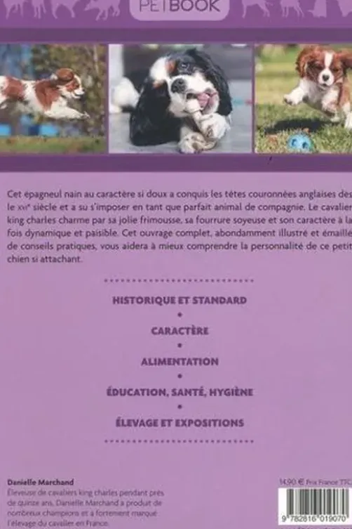 Le cavalier king Charles, Danielle Marchand