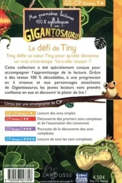 Le défi de Tiny. GS-CP niveau 1, Aurélia Onyszko-Leclaire