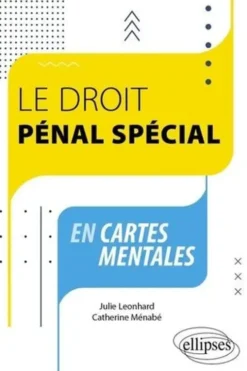 Le droit pénal spécial en cartes mentales, Julie Léonhard