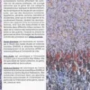 Le genre en révolution. Maghreb et Moyen-Orient, 2010-2020, Sarah Barrières