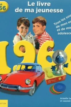 1966, le livre de ma jeunesse. Tous les souvenirs de mon enfance et de mon adolescence, Armelle Leroy