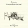 Le nom de ce qui ne dort pas, Marie Huot