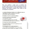 Le petit guide de survie au Japon. Spécial premier séjour, Rozenn Etienne