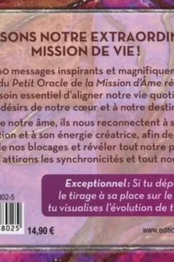 Le petit oracle de la mission d'âme, Vanessa Mielczareck