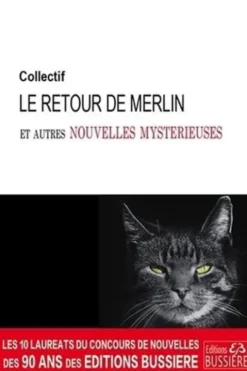 Le retour de Merlin et autres nouvelles mystérieuses, Pierre de Beauville