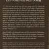 Le roman du Roi Soleil, Philippe de Villiers