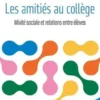 Les amitiés au collège. Mixité sociale et relations entre élèves, Timothée Chabot