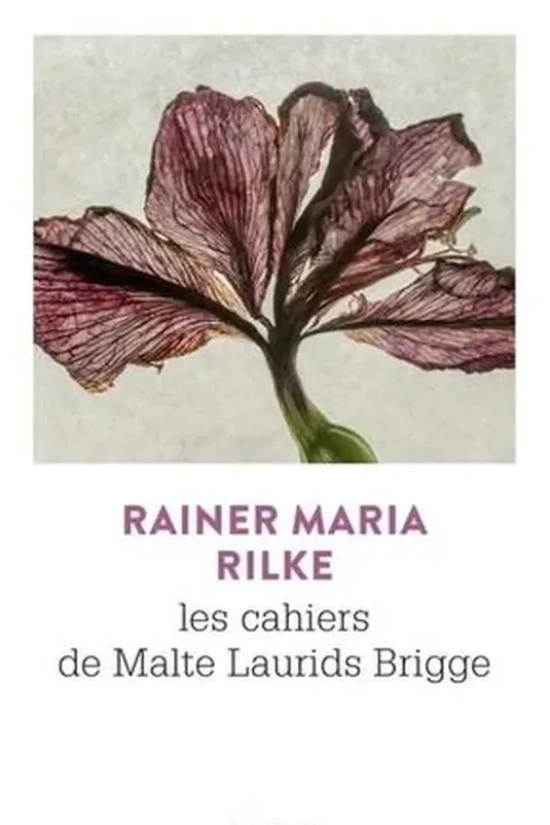 Les cahiers de Malte Laurids Brigge, Rainer Maria Rilke